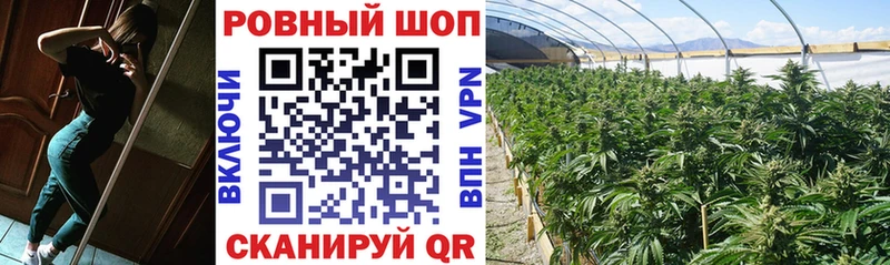 Где купить наркотики Венёв МАРИХУАНА  Alpha-PVP  ГАШ  Меф 