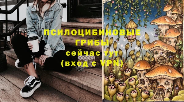 прущие грибы Алзамай