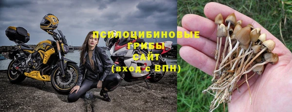 прущие грибы Алзамай
